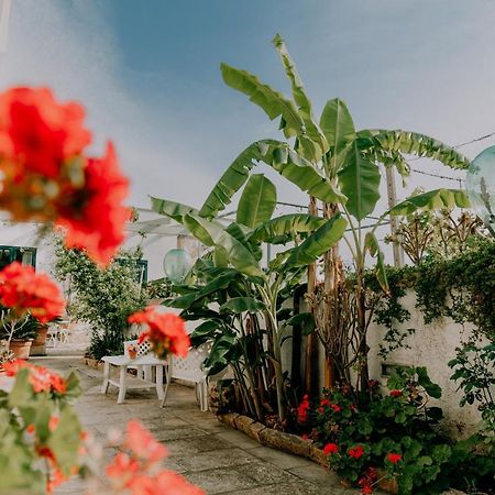 Masseria Agriturismo Il Sorriso Degli Ulivi - Dimora Di Charme Gallipoli Zewnętrze zdjęcie
