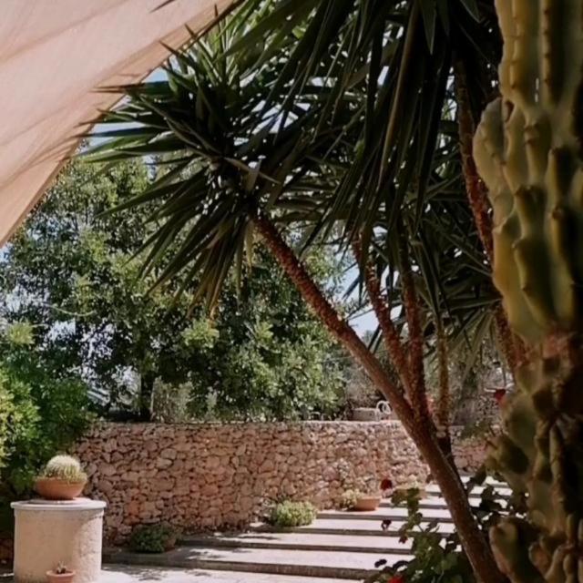 Masseria Agriturismo Il Sorriso Degli Ulivi - Dimora Di Charme Gallipoli Zewnętrze zdjęcie