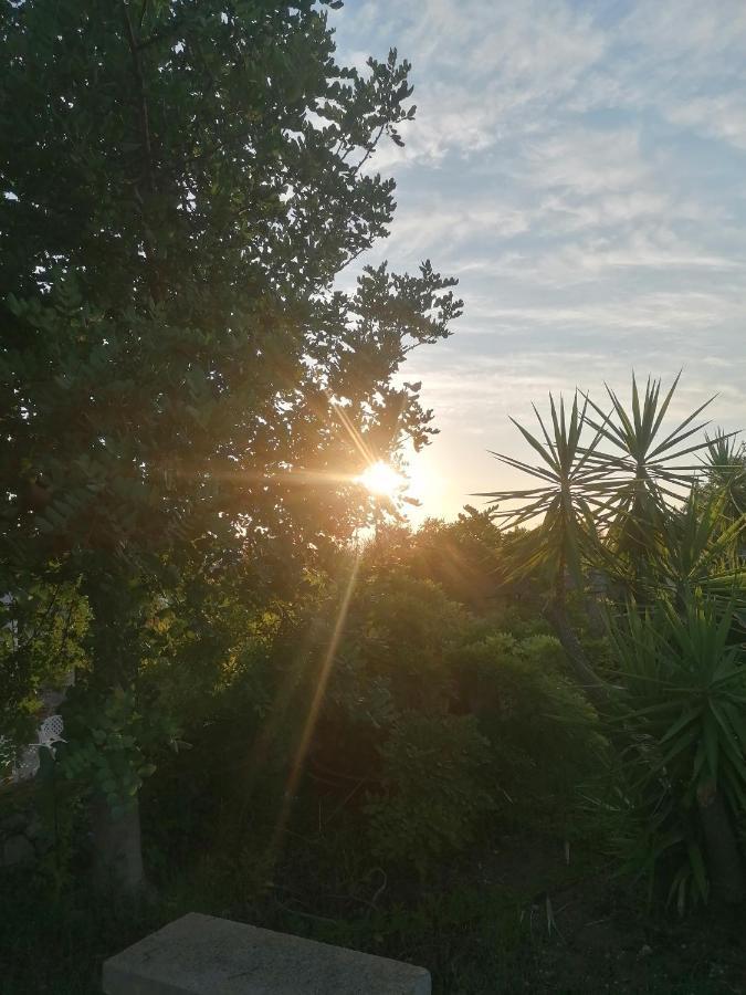 Masseria Agriturismo Il Sorriso Degli Ulivi - Dimora Di Charme Gallipoli Zewnętrze zdjęcie
