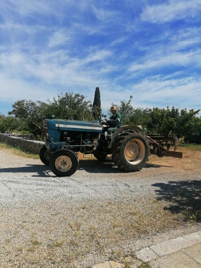 Masseria Agriturismo Il Sorriso Degli Ulivi - Dimora Di Charme Gallipoli Zewnętrze zdjęcie