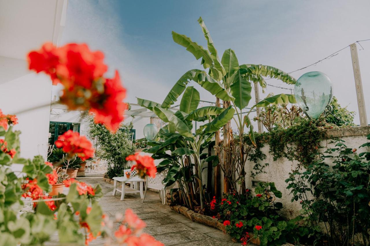 Masseria Agriturismo Il Sorriso Degli Ulivi - Dimora Di Charme Gallipoli Zewnętrze zdjęcie