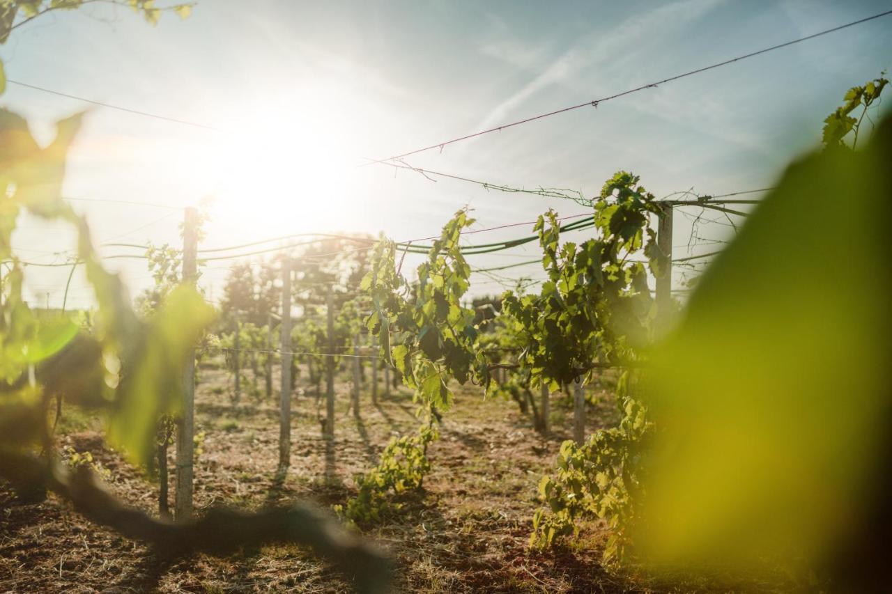 Masseria Agriturismo Il Sorriso Degli Ulivi - Dimora Di Charme Gallipoli Zewnętrze zdjęcie